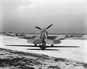Curtiss P-40 Warhawk