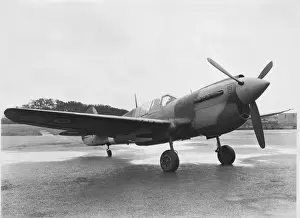 Curtiss P-40 Warhawk