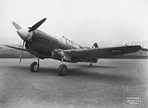 Curtiss P-40 Warhawk