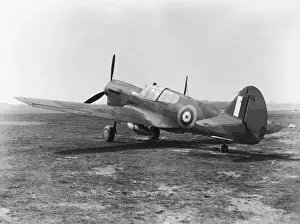 Curtiss P-40 Warhawk