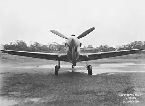 Curtiss P-40 Warhawk