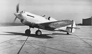 Curtiss P-40 Warhawk