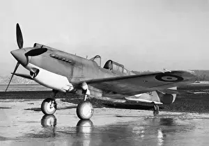 Curtiss P-40 Warhawk