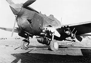 Curtiss P-40 Warhawk