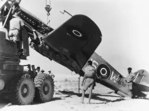 Curtiss P-40 Warhawk