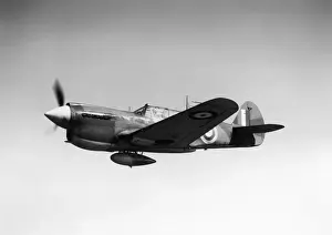 Curtiss P-40 Warhawk