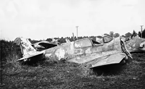 Curtiss P-40 Warhawk