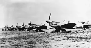 Curtiss P-40 Warhawk
