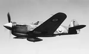 Curtiss P-40 Warhawk