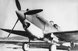 Curtiss P-40 Warhawk