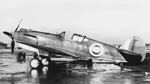 Curtiss P-40 Warhawk
