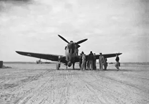 Curtiss P-40 Warhawk