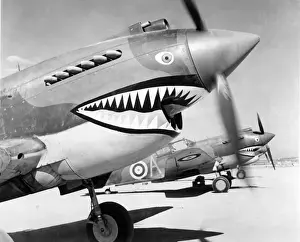 Fighters Prints: Curtiss P-40B Tomahawk IIA trio of No112 Squadron RAF i