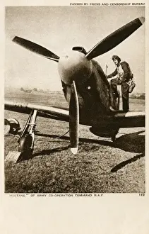 Mustang Prints: Curtiss P40 Warhawk Fighter Aircraft - WWII
