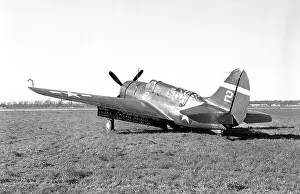 Curtiss Prints: Curtiss SB2C-5 Helldiver 89172