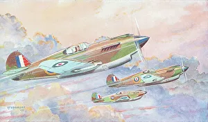Curtiss Tomahawk
