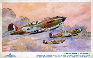 Allison Gallery: Curtiss Tomahawk Fighter Aircraft of the RAF