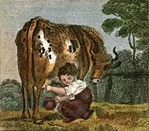 Give Prints: Cushy Cow Bonny