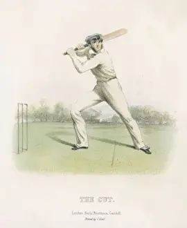 The Cut / Felix on the Bat