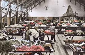Auctioneers Prints: Cut flowers in Dutch Auction Hall Bloemenlust at Aalsmeer