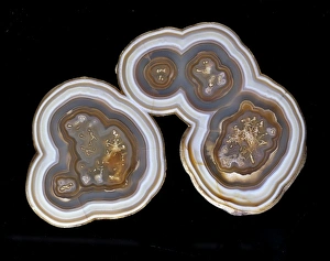 Agate Gallery: Agate