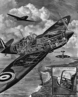 Images Dated 24th October 2004: Cutaway Diagram of a Supermarine Spitfire