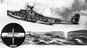 Cutaway drawing of the Dornier DoX