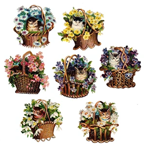 Images Dated 29th October 2015: Cute cats in baskets of flowers on seven Victorian scraps