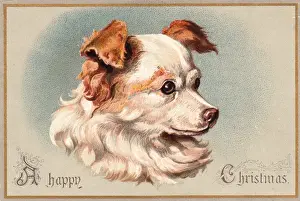 Cute little dog on a Christmas card