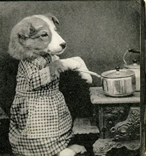 Fauna Collection: Cute Puppies: Cooking