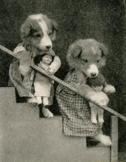 Fauna Collection: Cute Puppies: With Dolls