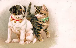 Cute puppy and kitten on a greetings postcard