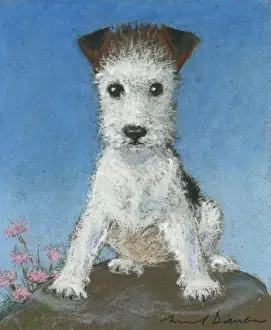 Cute puppy by Muriel Dawson