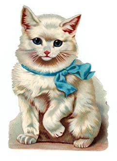 Images Dated 2nd November 2015: Cute white cat on a Victorian scrap