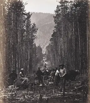 Cutting the boundary line
