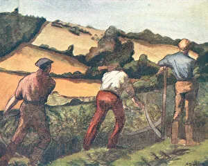 Davies Prints: Cutting Bracken