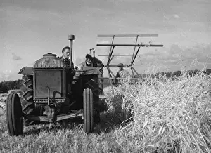 Oats Prints: Cutting the Crop