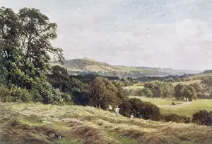 Cutting the Hay
