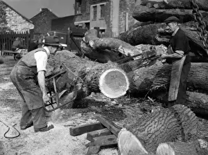 Cutting Huge Logs