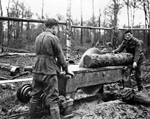 Cutting log at new sawmill, Western Front, WW1