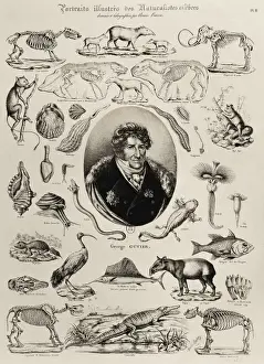 CUVIER, Georges (1769-1832). French zoologist