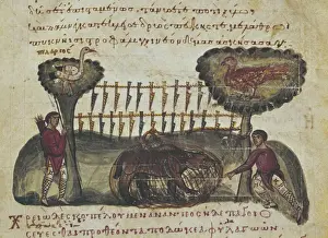 Cynegetica: treatise on hunting and fishing by Oppianus