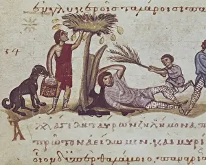 Cynegetica: treatise on hunting and fishing by Oppianus