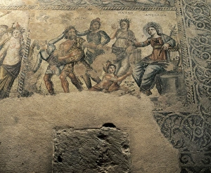 X7caf Me Collection: CYPRUS. Paphos. House of Aion. The Apollo and Marsyas
