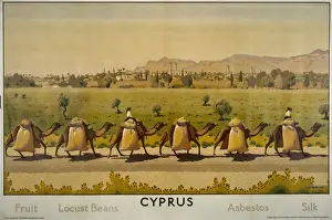 Locust Prints: Cyprus poster