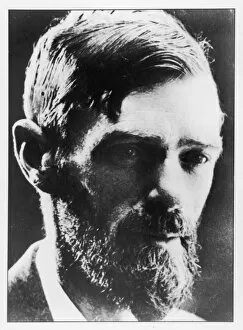 1885 Collection: D H Lawrence / Photograph