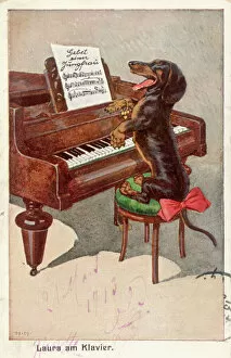Images Dated 14th October 2007: Dachshund and Piano