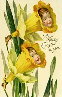 Ernest Gallery: Daffodil flower faces