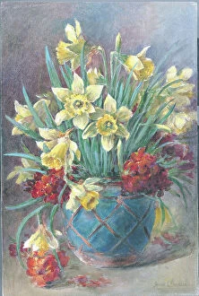 Arrangement Collection: Daffodils and wall flowers Flowers in vase Flower