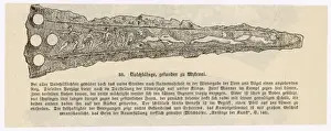 Mycenae Prints: Dagger Found at Mycenae